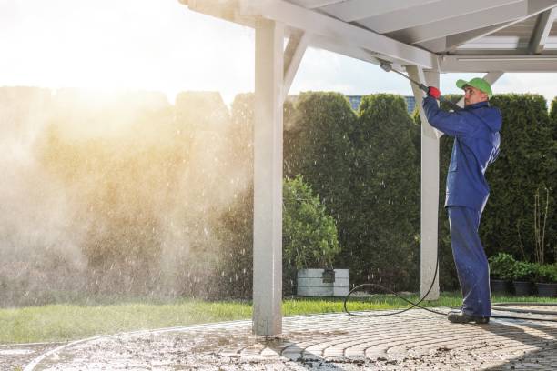 Best Graffiti Removal  in Thorsby, AL